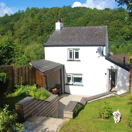 Peacock Cottage Cinderford Luaran gambar