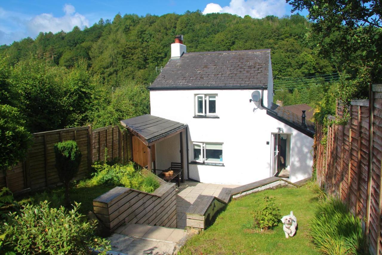 Peacock Cottage Cinderford Luaran gambar