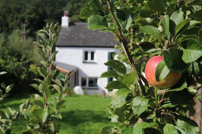 Peacock Cottage Cinderford Bilik gambar
